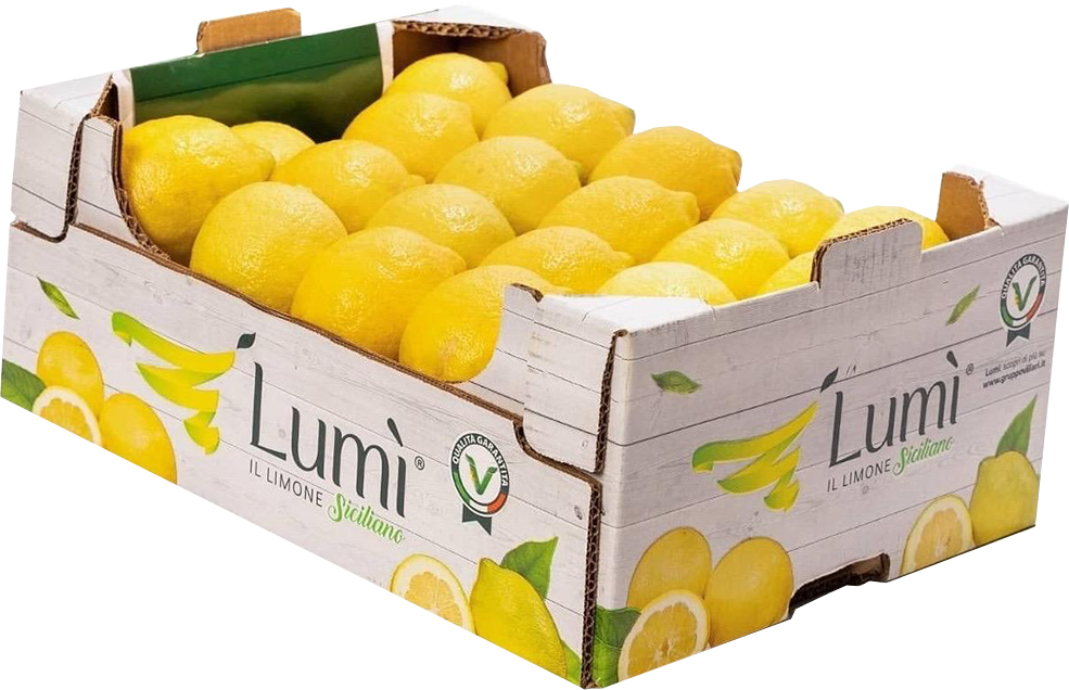 Limone Lumi 9 kg origine Italia - Sicilia